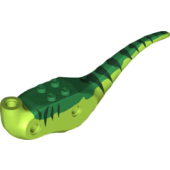 Animal, Body Part Dinosaur Middle Raptor with Green Top with Dark Green Stripes Pattern