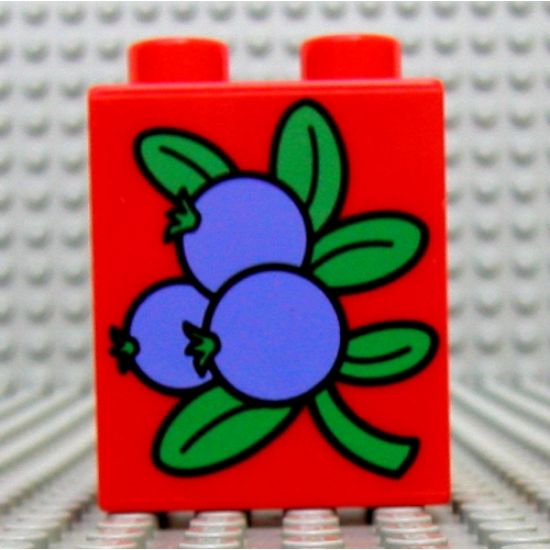 Duplo, Brick 1 x 2 x 2 with Blueberries Pattern