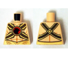 Torso Muscles Outline with Gold Belts and Red Buckle with Black Hawk Pattern