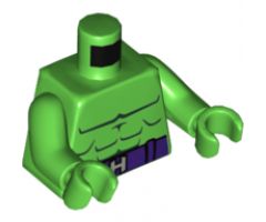 Torso Muscles Outline, Dark Purple Belt and Silver 'H' Buckle Pattern / Bright Green Arms / Bright Green Hands