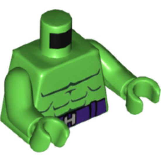 Torso Muscles Outline, Dark Purple Belt and Silver 'H' Buckle Pattern / Bright Green Arms / Bright Green Hands