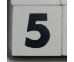 Duplo, Tile 2 x 2 x 1 with Black Number 5 Pattern