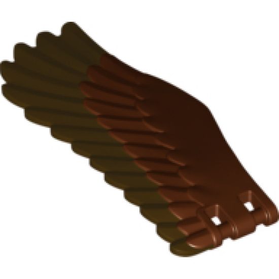 Animal, Body Part Eagle Wing - Right with Dark Brown Feathers Pattern