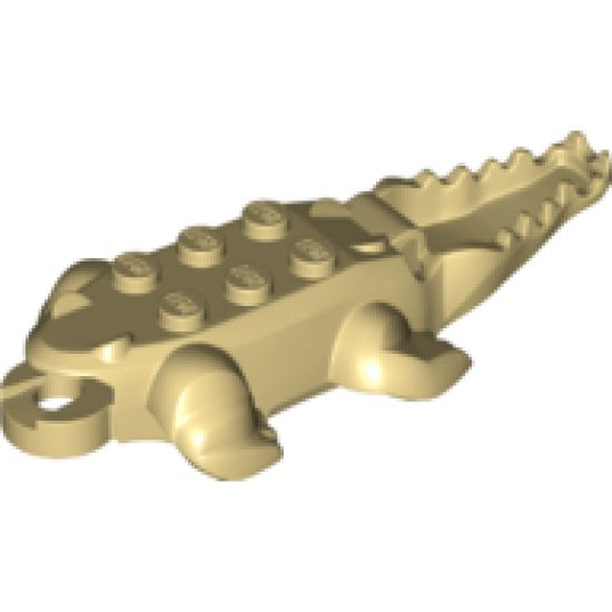Animal, Body Part Alligator / Crocodile Middle with 10 Lower Teeth