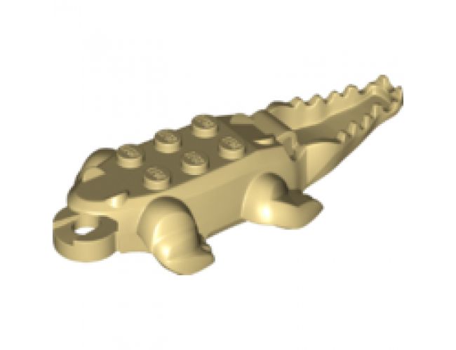 Animal, Body Part Alligator / Crocodile Middle with 10 Lower Teeth