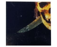 Tile 2 x 2 with Sword Blade Pointing Left and Half Skull Pattern