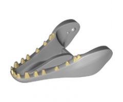 Animal, Body Part Dinosaur Jaw Lower Indominus rex with Tan Teeth Pattern