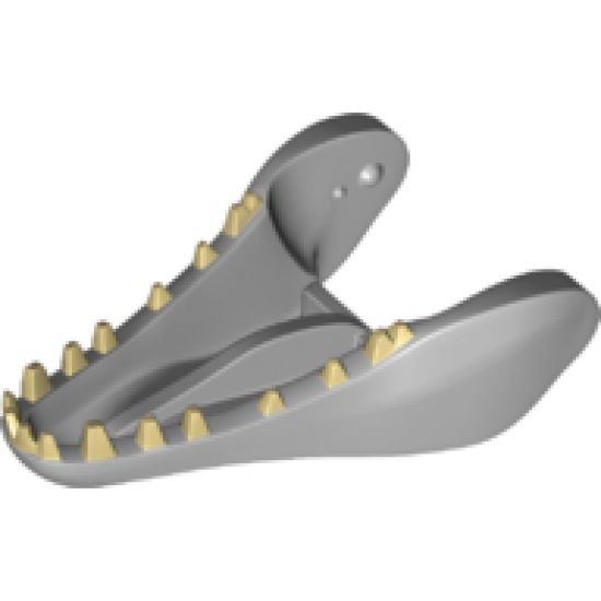 Animal, Body Part Dinosaur Jaw Lower Indominus rex with Tan Teeth Pattern
