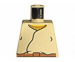 Torso SW Closed Shirt, Brown Belt, Yellow Neck Pattern