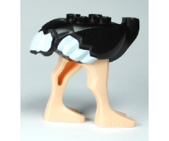 Animal, Body Part Ostrich Middle with White Tail and Wingtips Pattern and Light Nougat Legs
