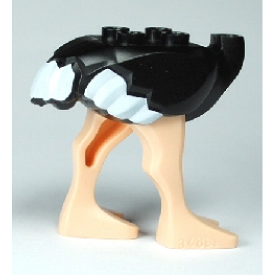 Animal, Body Part Ostrich Middle with White Tail and Wingtips Pattern and Light Nougat Legs