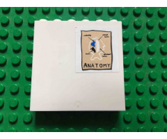 Panel 1 x 6 x 5 with Fish and 'ANATOMY' Pattern (Sticker) - Set 3832