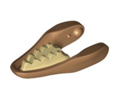 Animal, Body Part Dinosaur Jaw Lower Raptor with Tan Teeth Pattern