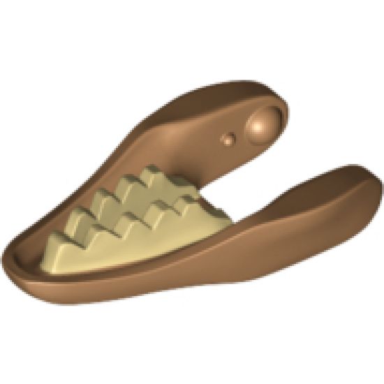 Animal, Body Part Dinosaur Jaw Lower Raptor with Tan Teeth Pattern