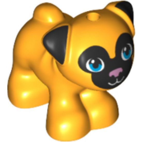 Dog, Friends, Pug, Standing with Black Face and Ears with Metallic Pink Nose and Dark Azure Eyes Pattern