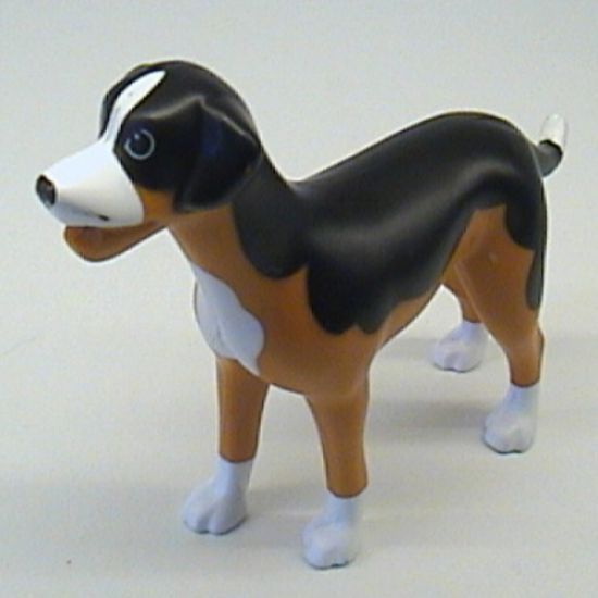 Dog, Scala with Black Back and White Chest, Feet and Muzzle Pattern (Sita)