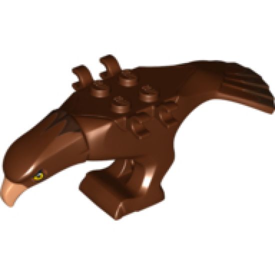 Animal, Body Part Eagle Middle with Beak, Eyes and Dark Brown Head and Tail Feathers Pattern