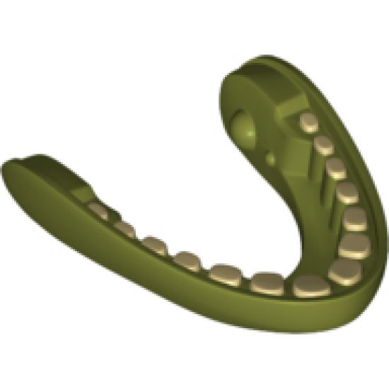 Animal, Body Part Dewback Lower Jaw with Teeth Pattern
