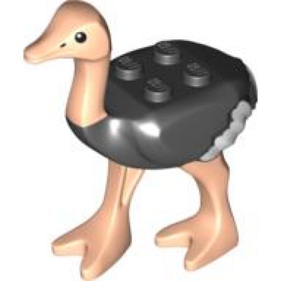 Ostrich with White Tail and Wingtips and Light Nougat Legs and Head