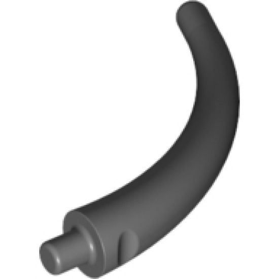 Animal, Body Part Dinosaur Tail End Section / Horn