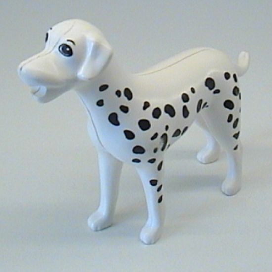 Dog, Scala with Dalmatian with White Ears Pattern