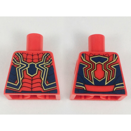 Torso with Large Dark Blue Spider, Black Webs, Gold and Blue Trim Pattern