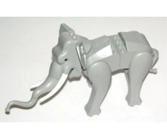 Elephant with White Tusks