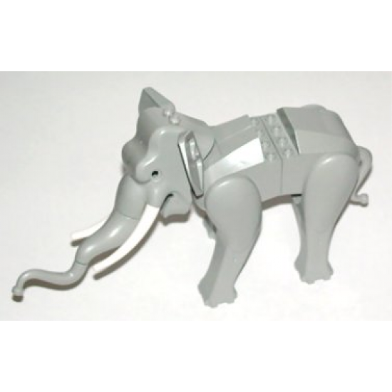 Elephant with White Tusks