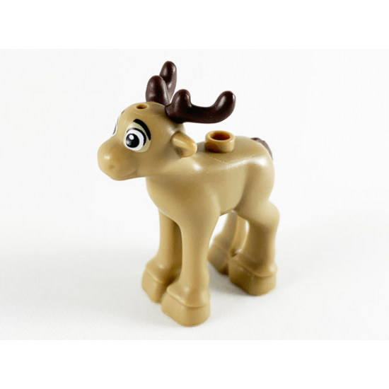 Reindeer, Fawn with Dark Brown Antlers and Tail Pattern