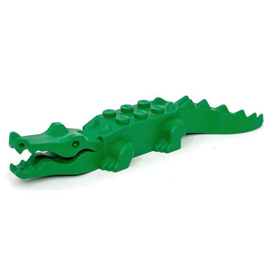 Alligator / Crocodile with 8 Teeth