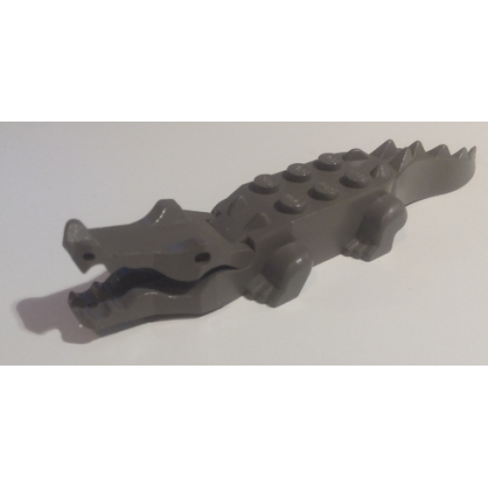 Alligator / Crocodile with 8 Teeth