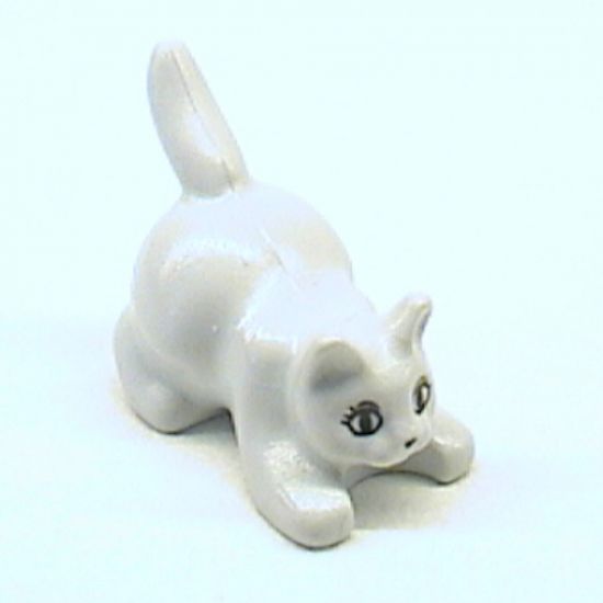 Cat, Crouching with Black Eyes, Eyelashes and Nose Pattern