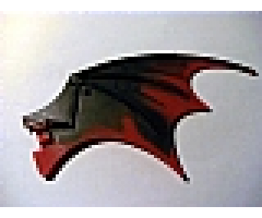 Animal, Body Part Dragon Wing 19 x 11 with Marbled Dark Red Trailing Edge Pattern