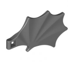 Animal, Body Part Dragon Wing