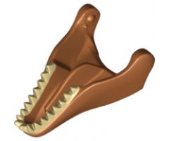 Animal, Body Part Dinosaur Jaw Lower Tyrannosaurus rex with Tan Teeth Pattern