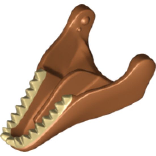 Animal, Body Part Dinosaur Jaw Lower Tyrannosaurus rex with Tan Teeth Pattern