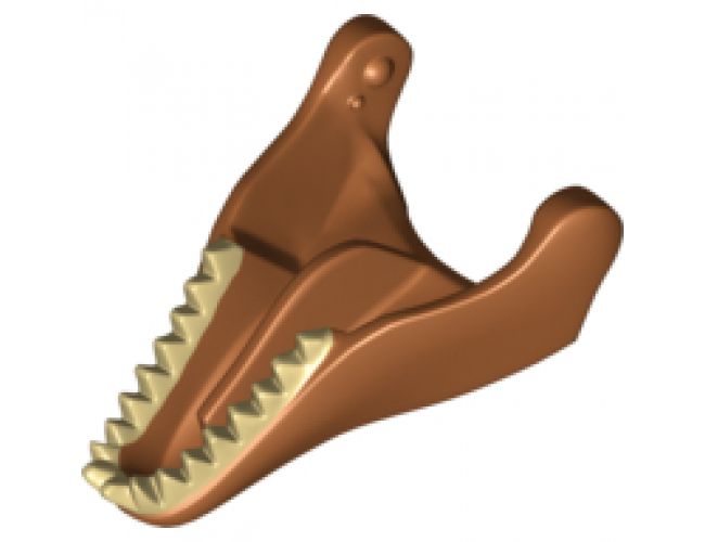 Animal, Body Part Dinosaur Jaw Lower Tyrannosaurus rex with Tan Teeth Pattern