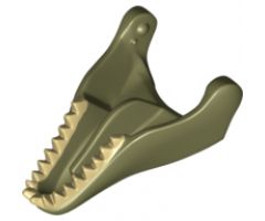 Animal, Body Part Dinosaur Jaw Lower Tyrannosaurus rex with Tan Teeth Pattern