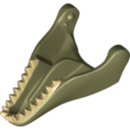 Animal, Body Part Dinosaur Jaw Lower Tyrannosaurus rex with Tan Teeth Pattern