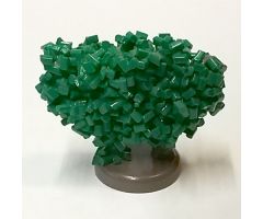 Plant, Tree Granulated Bush