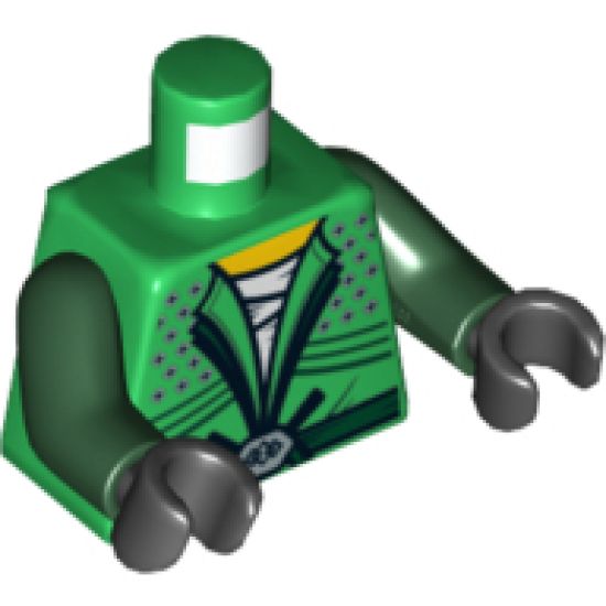 Torso Ninjago Belt and Silver Diamonds Front and Golden Snake Back Pattern / Dark Green Arms / Black Hands