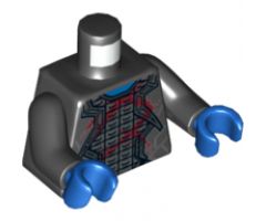 Torso Robes with Silver Trim over Armor and Dark Red Wounds Pattern / Black Arms / Blue Hands