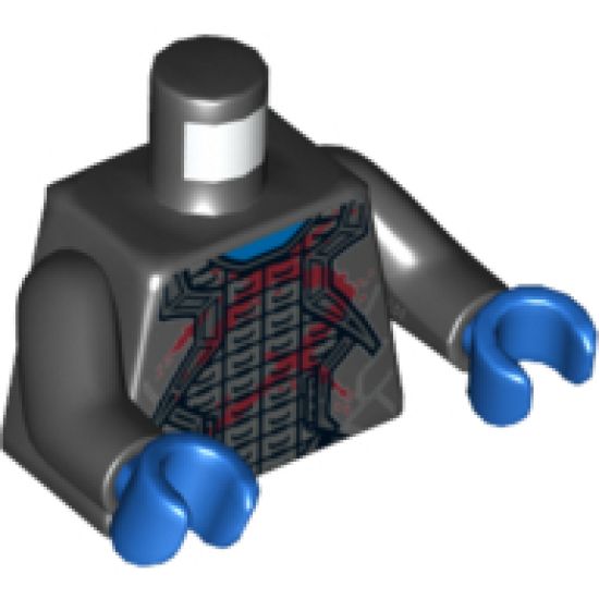 Torso Robes with Silver Trim over Armor and Dark Red Wounds Pattern / Black Arms / Blue Hands