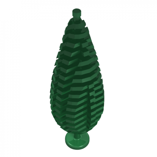 Plant, Tree Cypress
