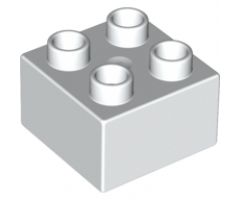 Duplo, Brick 2 x 2 with Zoo Time Mosaic Picture 08 Pattern