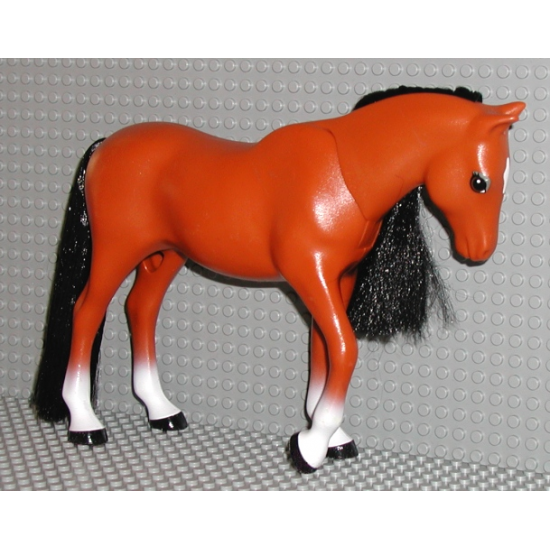 Horse, Scala (Chili)