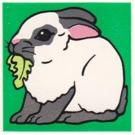 Duplo, Tile 2 x 2 x 1 with Rabbit Mosaic Picture 11 Pattern (Set 1014)