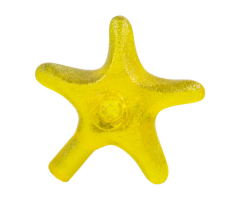 Starfish / Sea Star