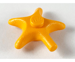 Starfish / Sea Star