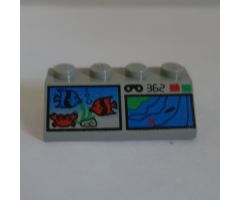 Slope 45 2 x 4 with Fish and Terrain Map Pattern